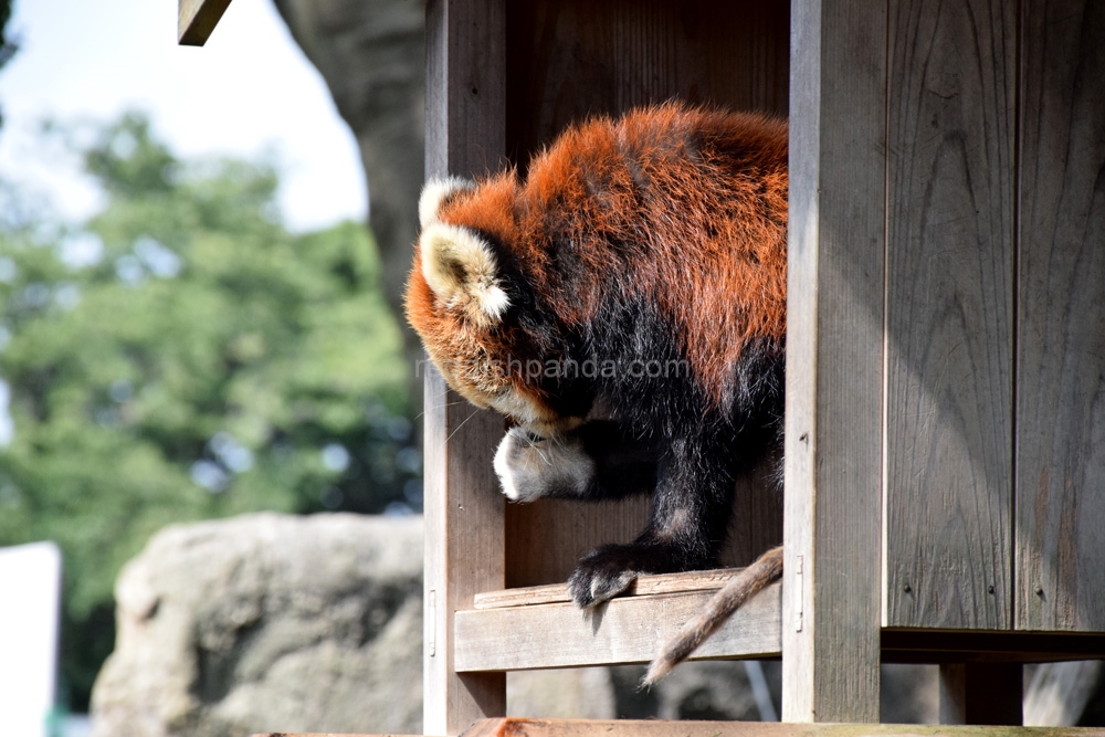 完食