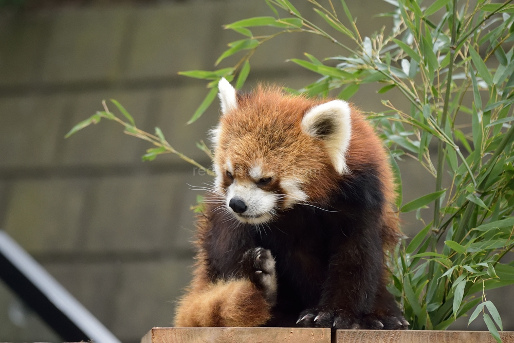 寝てたわ！　今、起こされるまでな