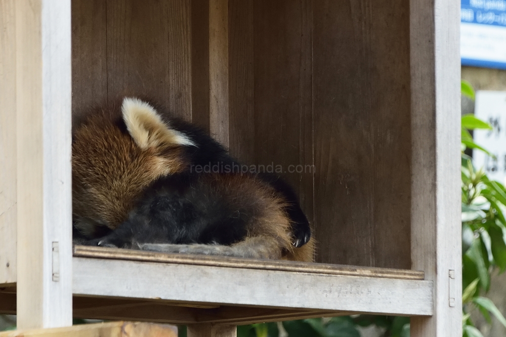 さっきまで眠かったんだけど