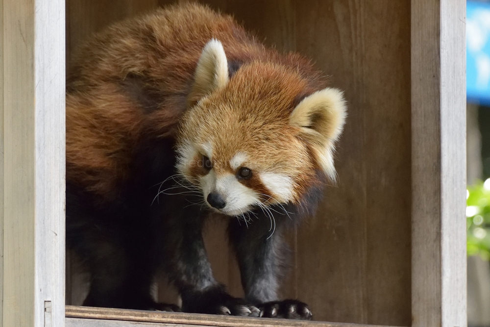 違う場所で寝ることにした