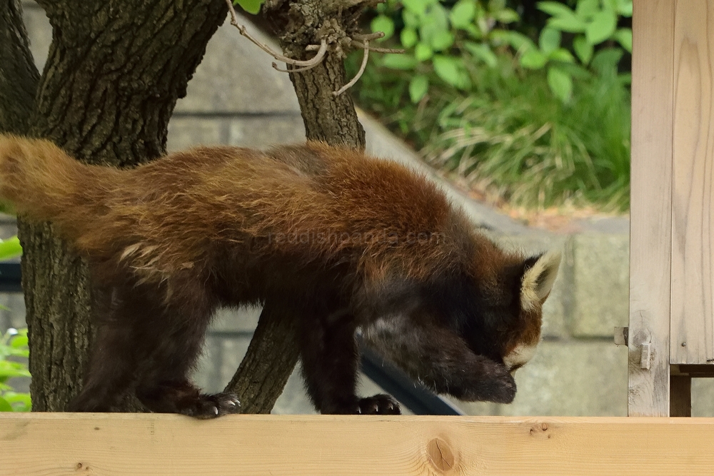 さっそく移動だ、あの場所というのは・・