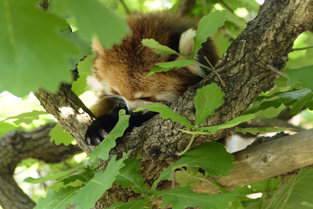 でも、なんかここも少し陽があたるから