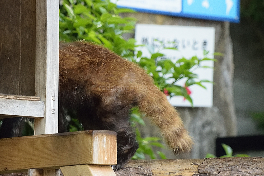 ということで、元の場所に戻るぞ