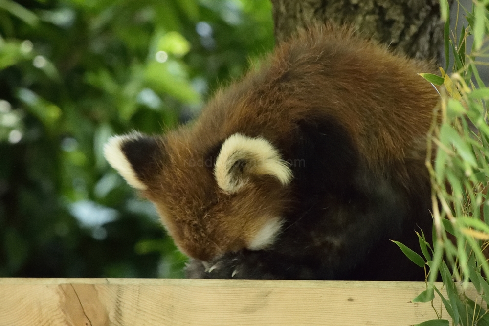 とてつもなく眠くなるな