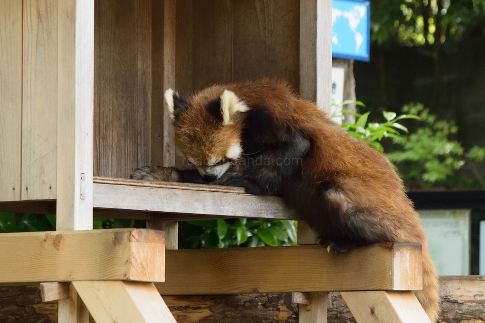 おれが置き去りにされてる風じゃねーか