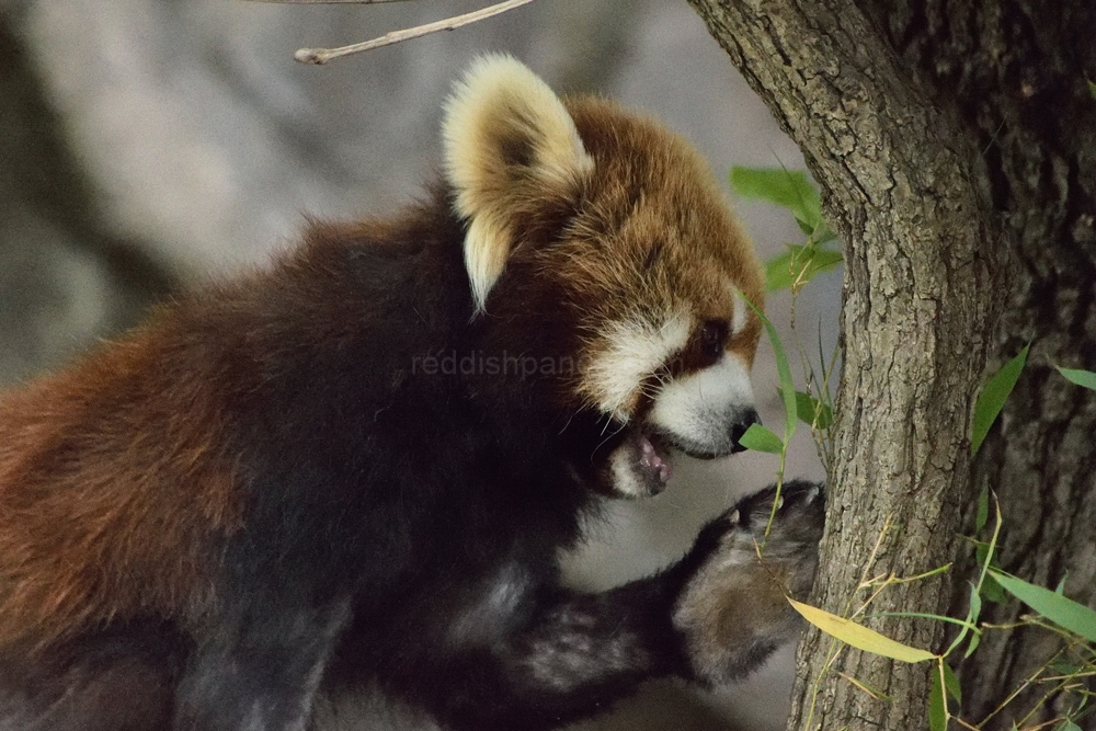 まあ、いいや　食べよ