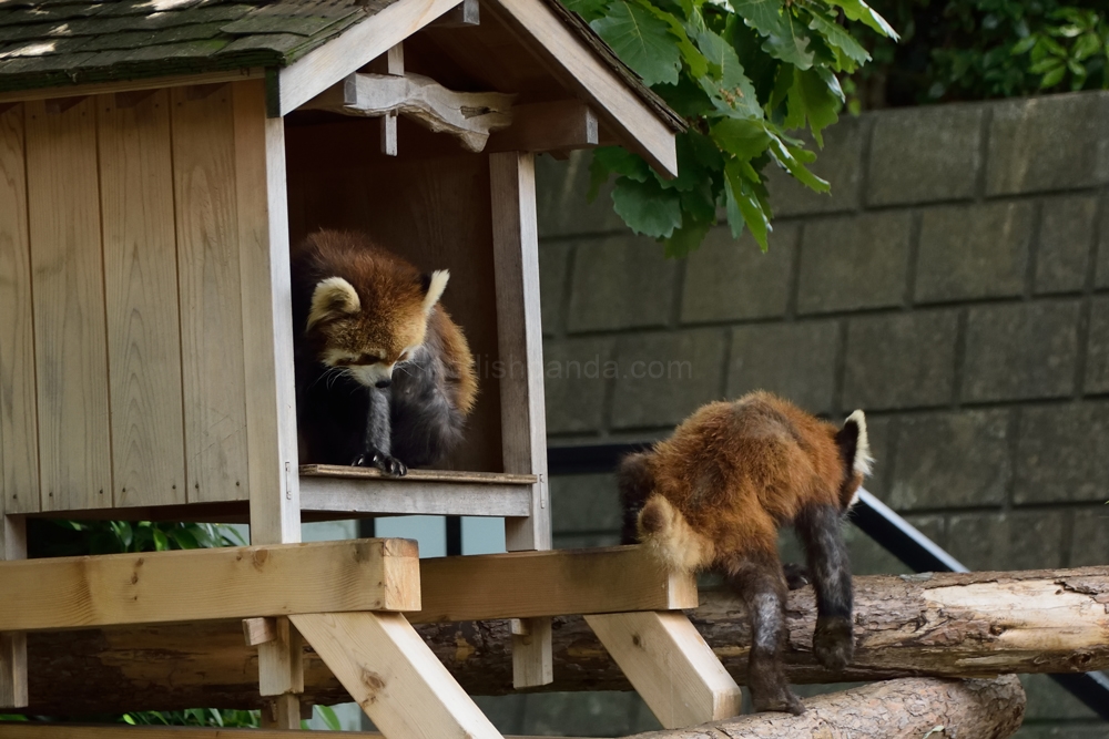 ご丁寧に　マーキングだけして