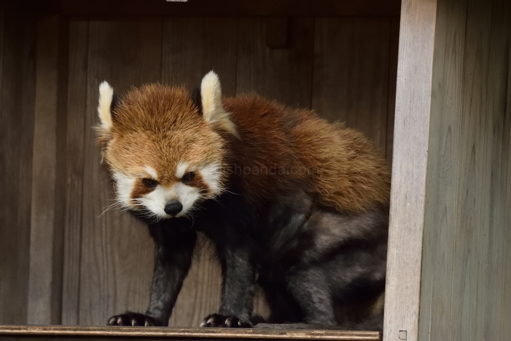 少しこの状態でかたまってた