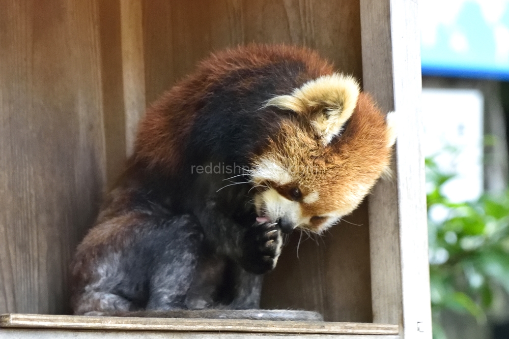 ここで今はきゅうけい中　 なめなめ