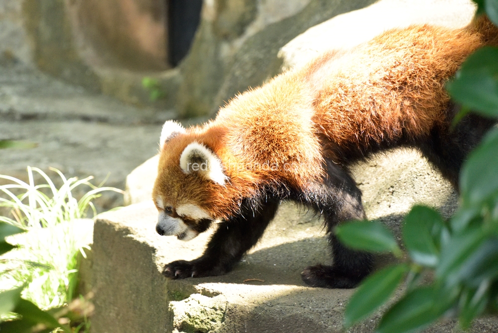 陽が射していながらも　寝室の様子をみてきた