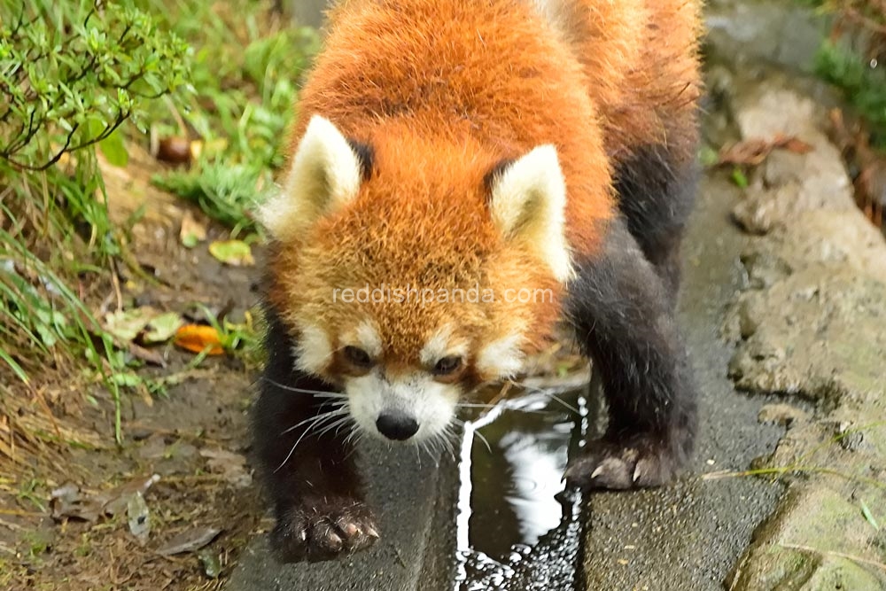 別にそんな気ねえのよ　おれ