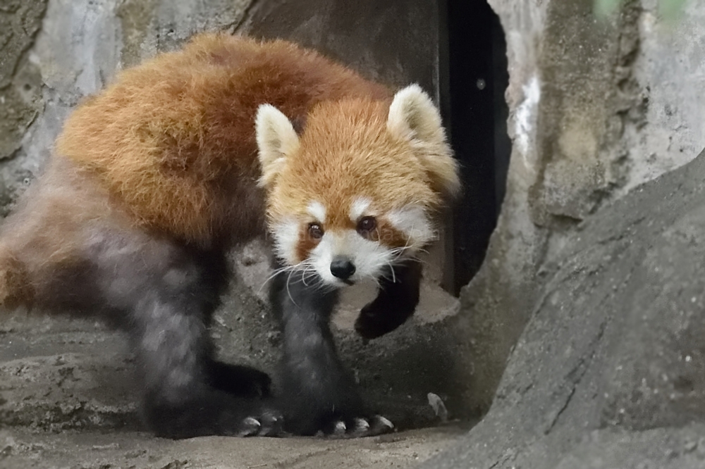 (キンタ)　下にばっかりいてもね・・・