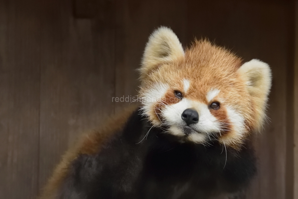 (キンタ)　どうもです