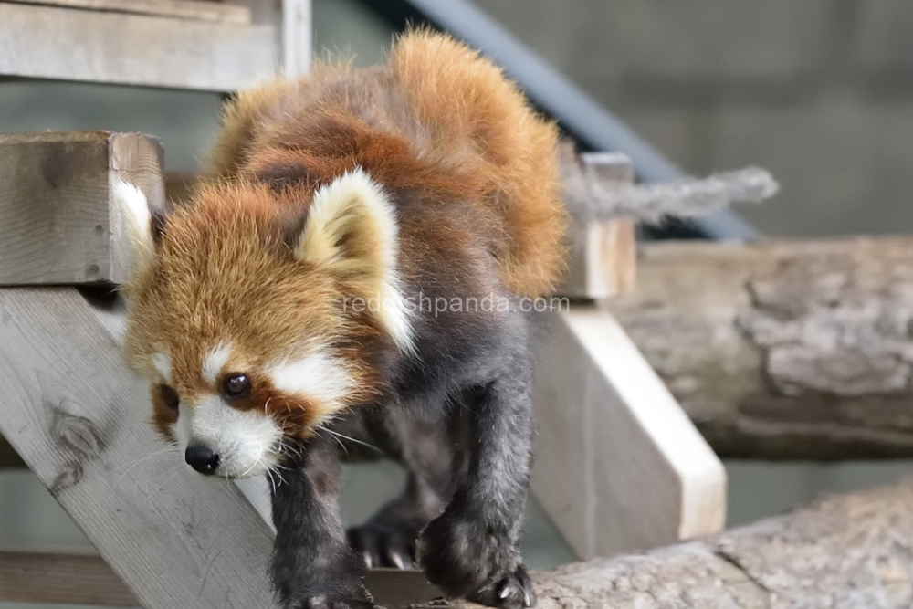 (キンタ)　失礼しますよ　じゃーね