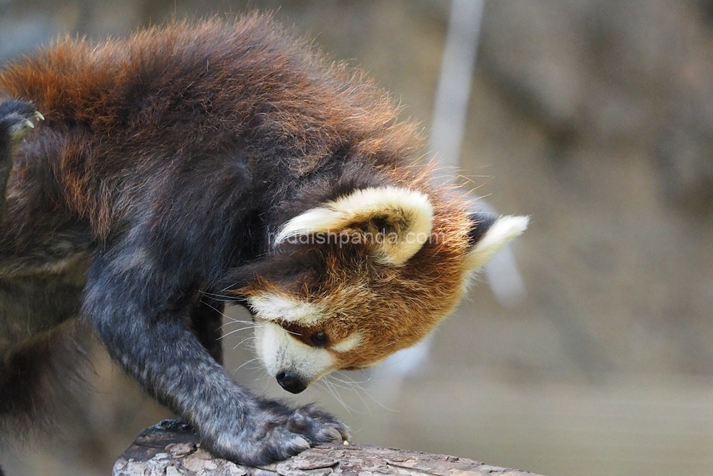 (キンタ)　外でやる気は・・・