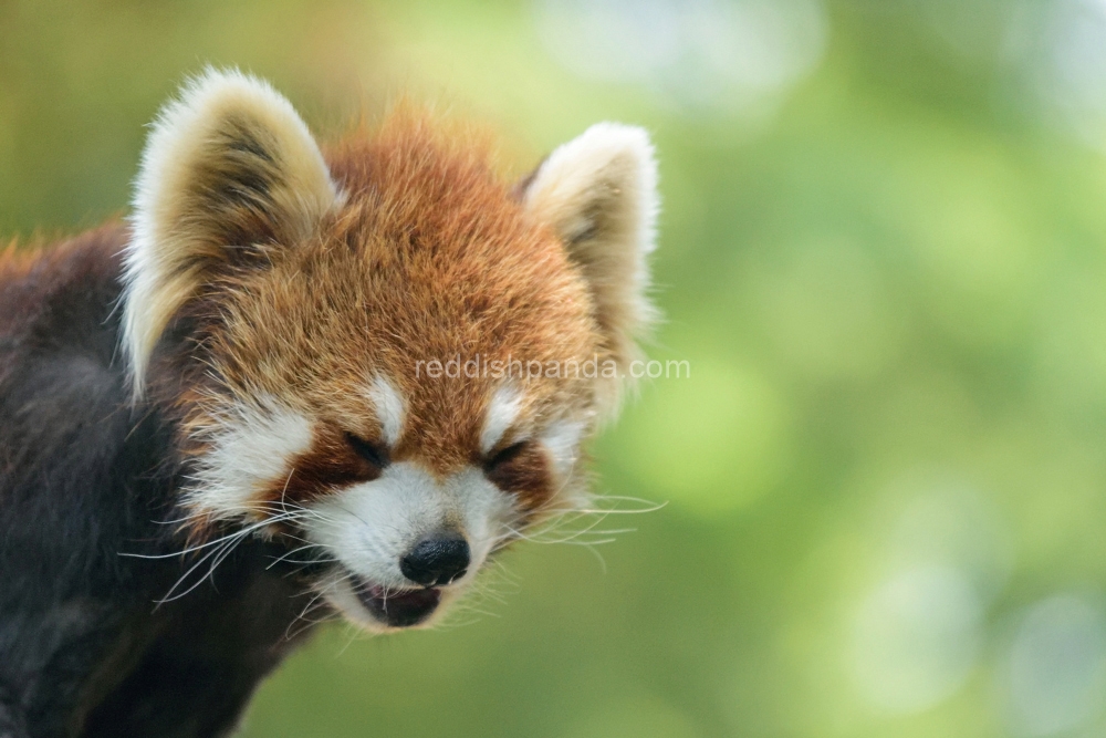 (キンタ)　 相変わらず、 うわぁ・・にもなるけれど