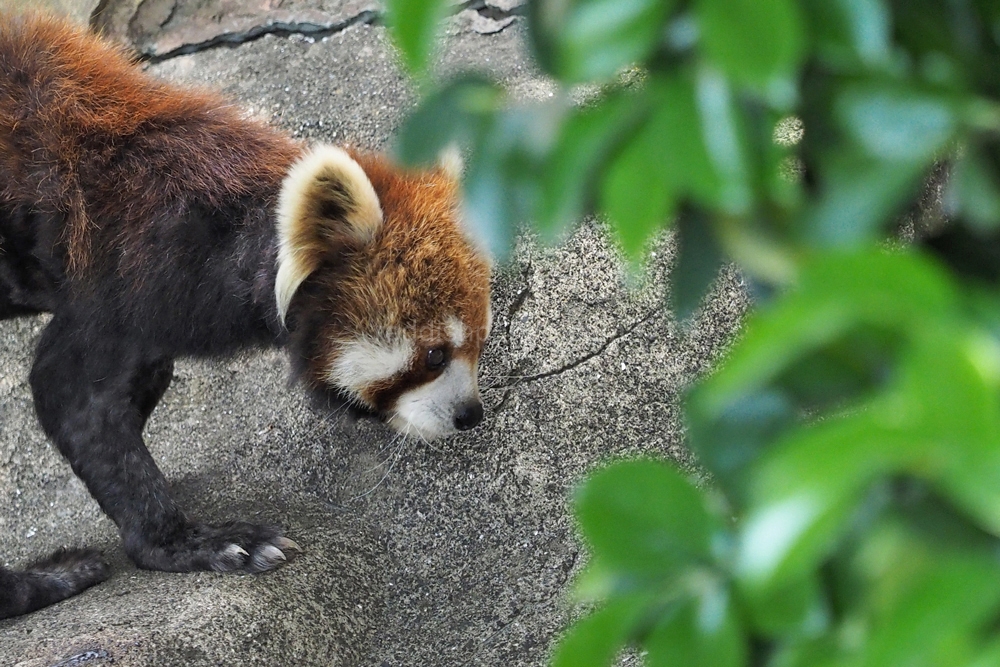 (キンタ)　はいはい、終了　寝室へ行くから