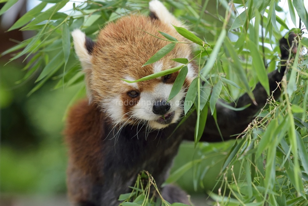 (キンタ)　今日ね、誕生日！