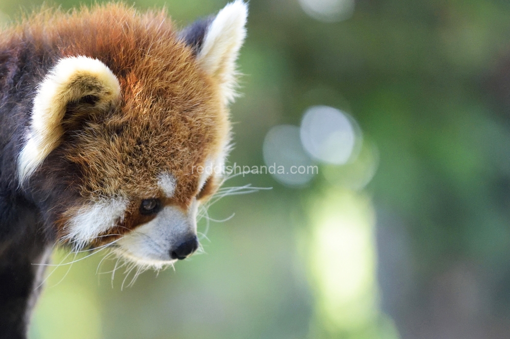 (キンタ)　今日 天気良くてね、ふぅ～て感じで