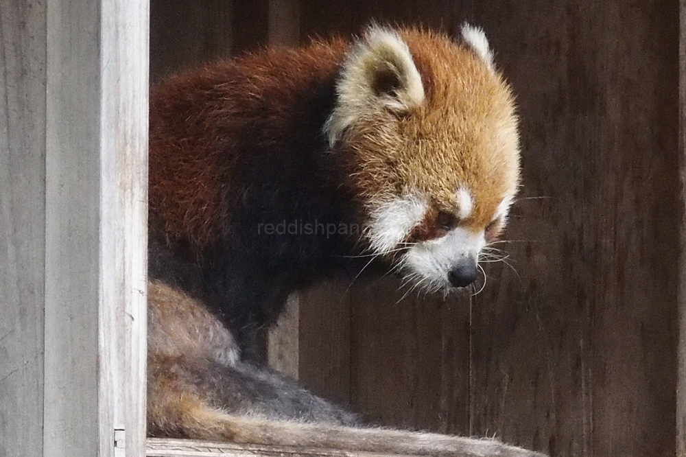 (キンタ)　なんとなくこの感じでわかってください