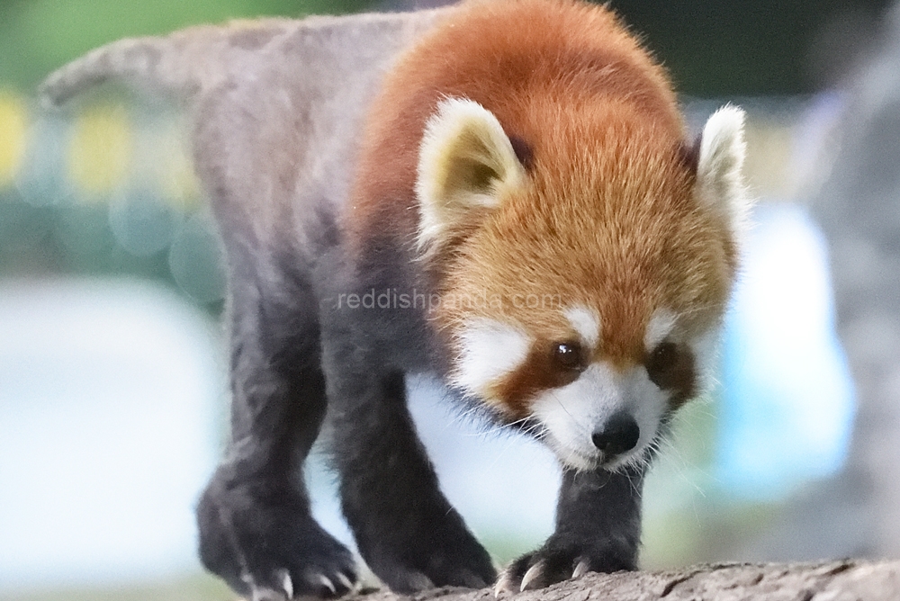 夕方 うん、がんばってるね　