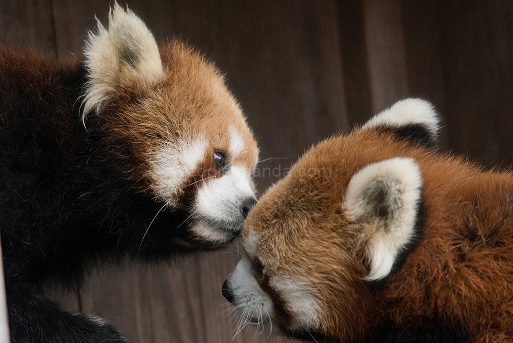 (キンタ) 　今日のところは　これにて失礼～