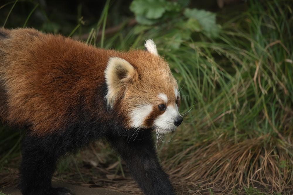 (キンタ) 相変わらずです　今日も・・