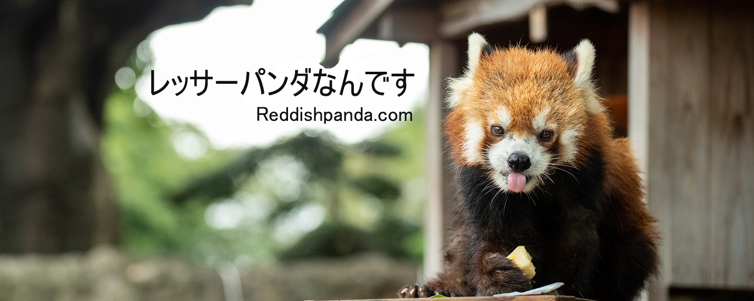 レッサーパンダなんです。reddishpanda.com